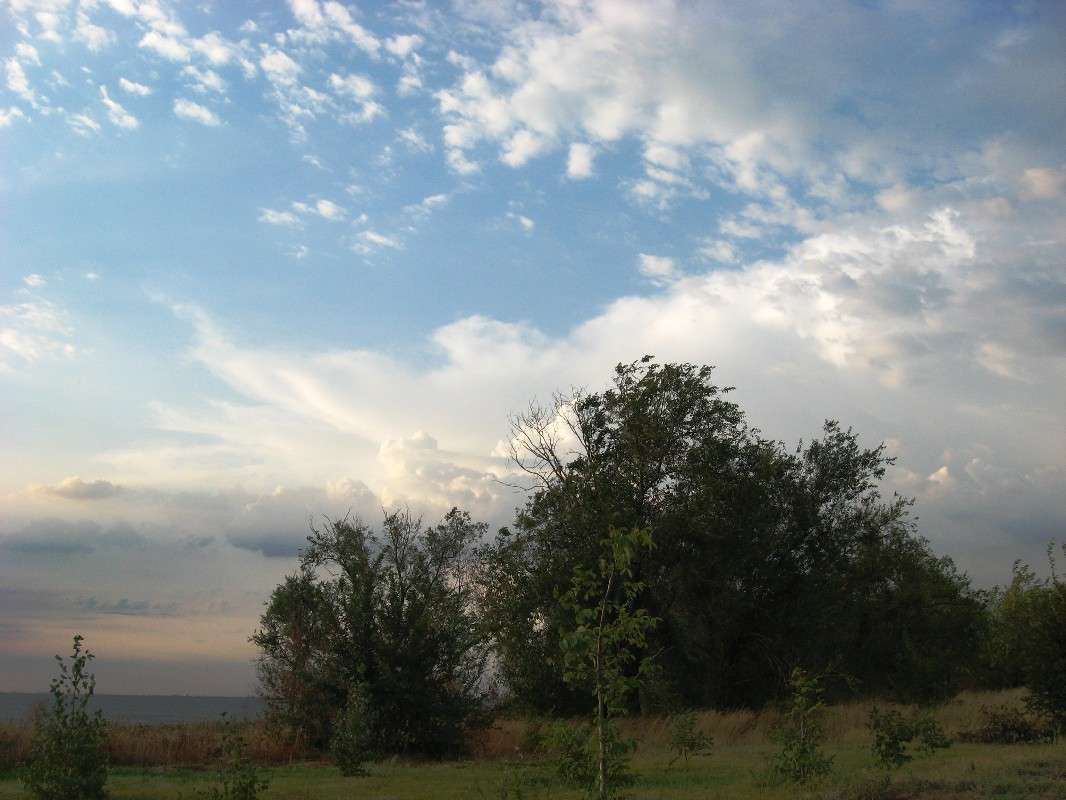 ����. ����� Natali  ��������� �� PhotoGeek.ru #������ ��� ������� #����� ��������������