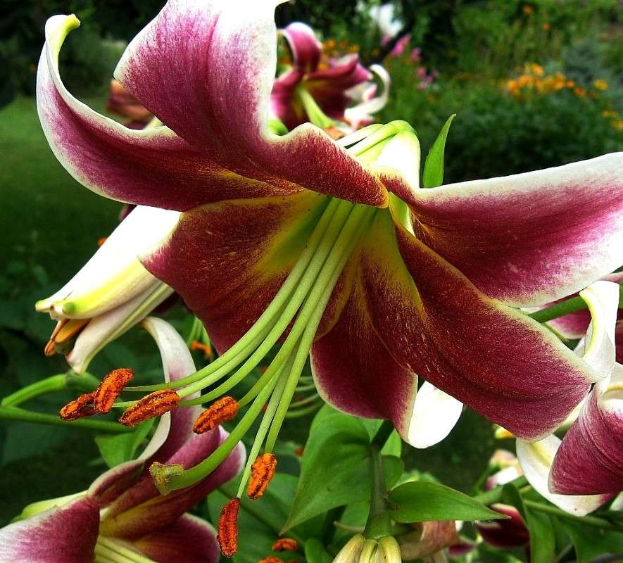 ... ����� Natali  ��������� �� PhotoGeek.ru #����� ��������������