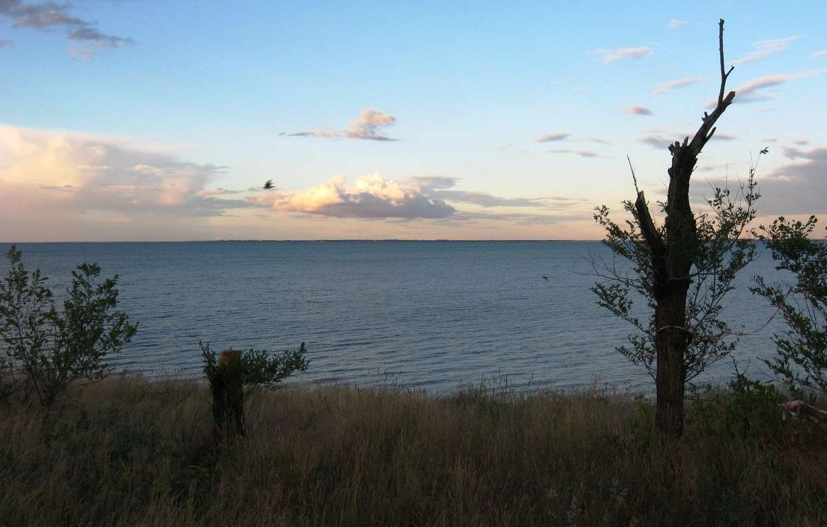 �����. ����� Natali  ��������� �� PhotoGeek.ru #������ ��� ������� #����� ��������������