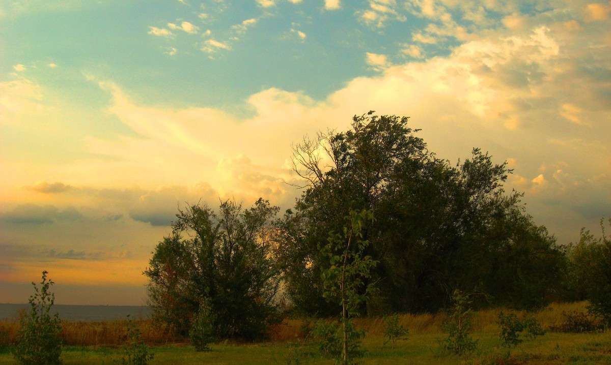 ���� � ������ ����� Natali  ��������� �� PhotoGeek.ru #������ ��� �������