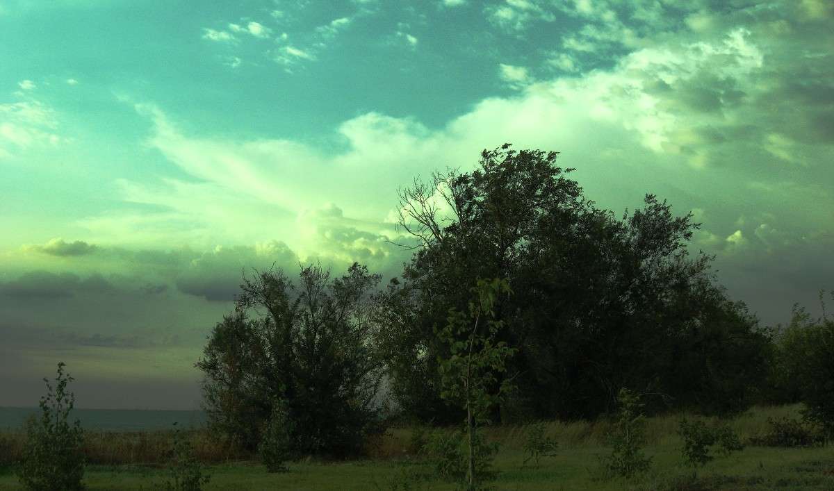 ���� � ������ 2 ����� Natali  ��������� �� PhotoGeek.ru #������ ��� �������