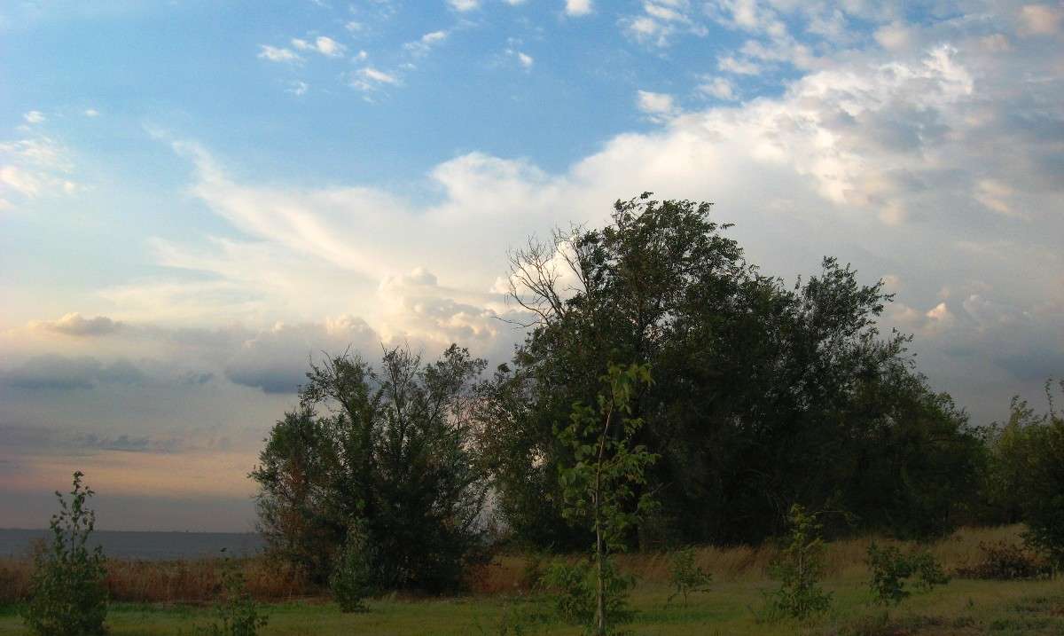 ���� � ������ 3 ����� Natali  ��������� �� PhotoGeek.ru #������ ��� �������