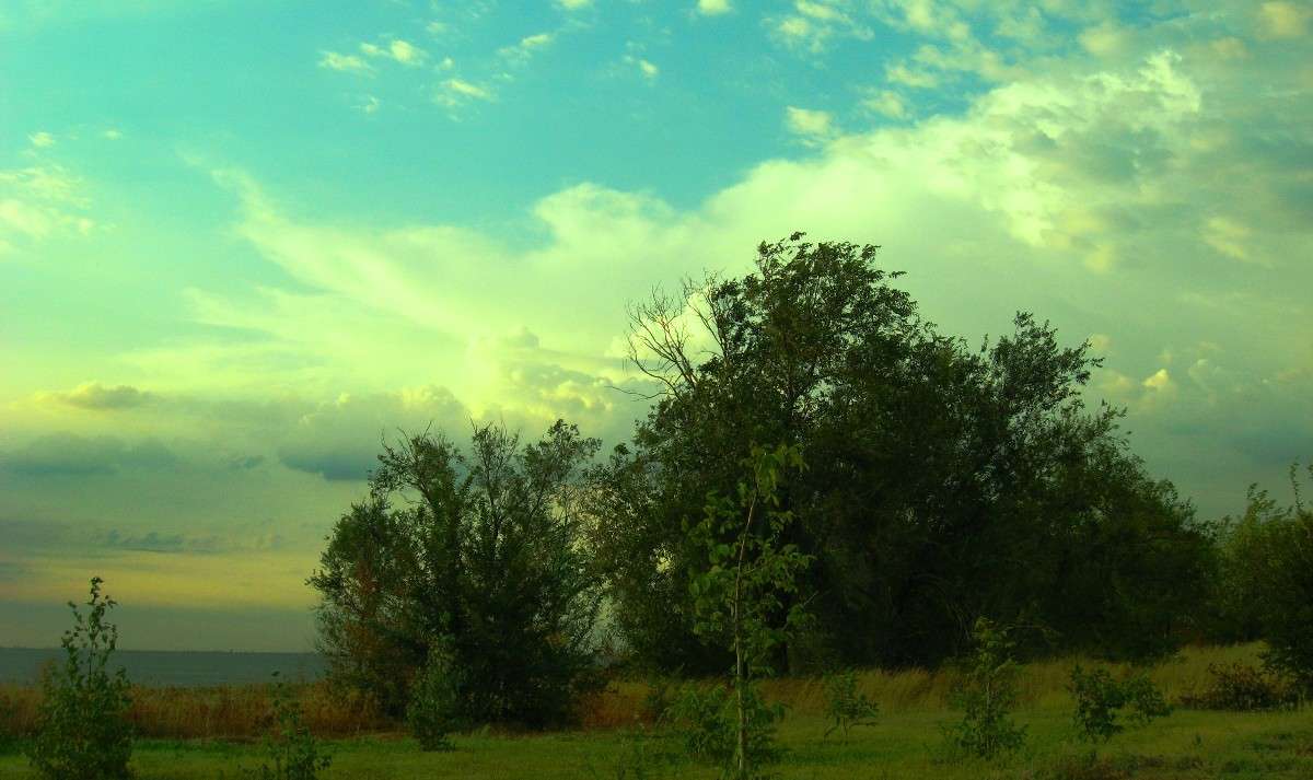 ���� � ������ 4 ����� Natali  ��������� �� PhotoGeek.ru #������ ��� �������