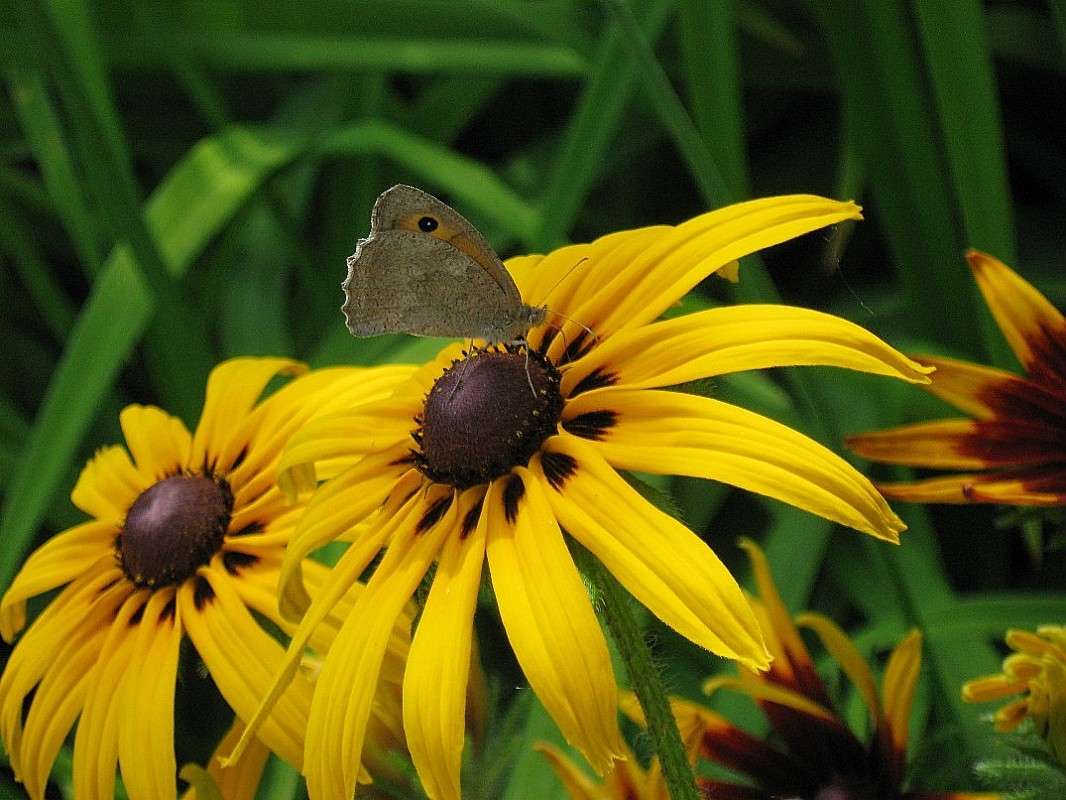 �������� ������ ����������...) ����� Natali  ��������� �� PhotoGeek.ru #������ ��� ������� #���������