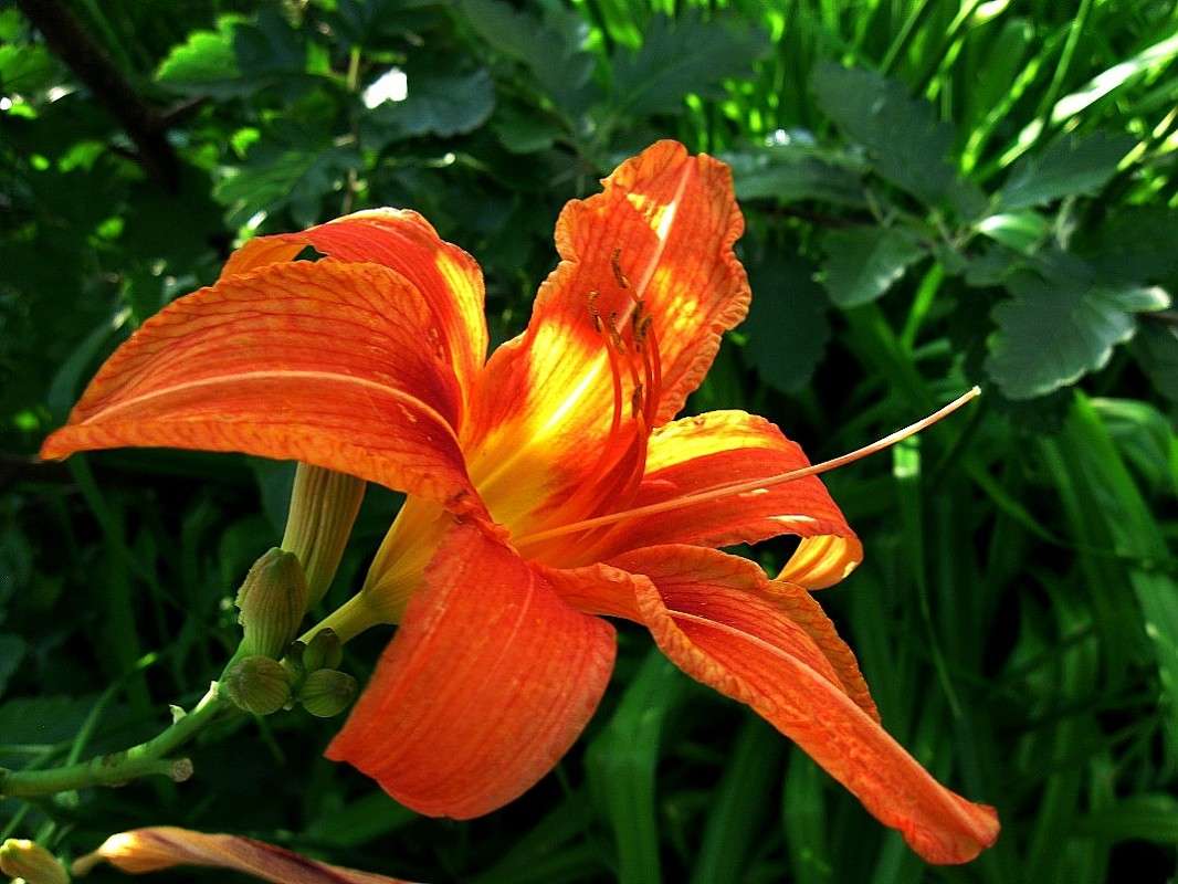 �� ������ ����� Natali  ��������� �� PhotoGeek.ru #������ ��� ������� #����� ��������������