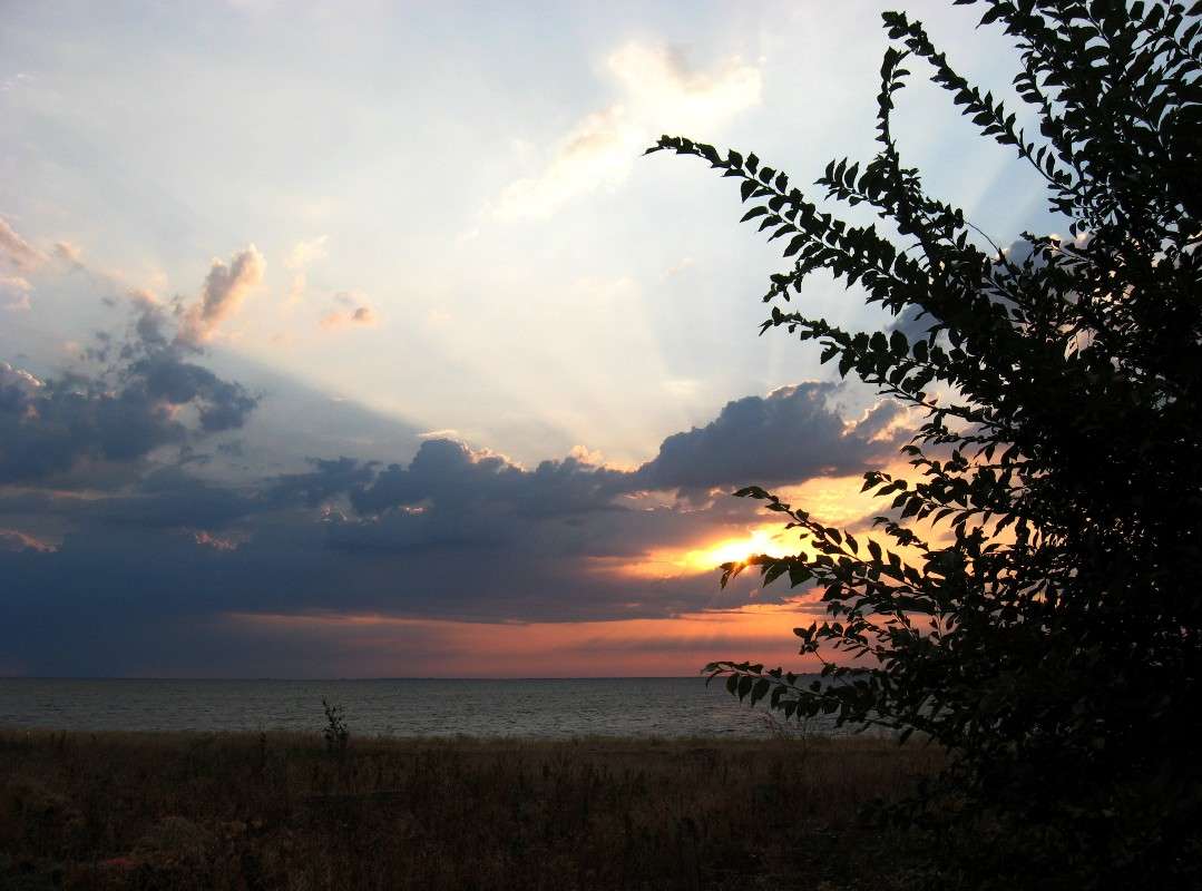 ������...3 ����� Natali  ��������� �� PhotoGeek.ru #������ ��� �������