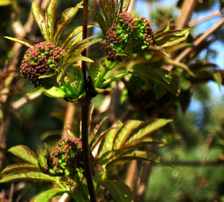 �������� ������������ ����� Natali  ��������� �� PhotoGeek.ru #������ ��� ������� #����� ��������������