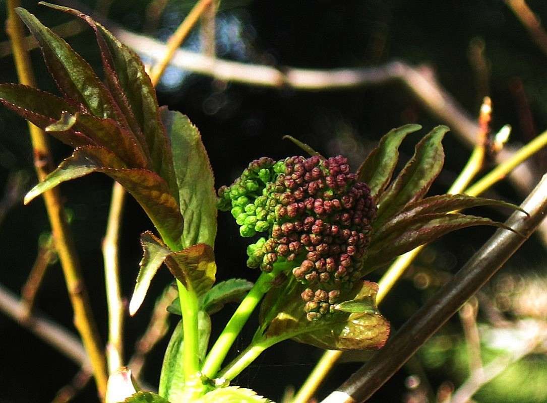 �������� ������������ 2 ����� Natali  ��������� �� PhotoGeek.ru #������ ��� ������� #����� ��������������