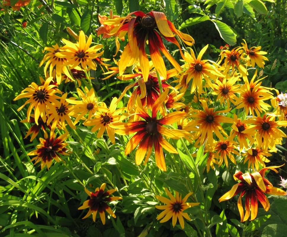 ��������� ������� ����� Natali  ��������� �� PhotoGeek.ru #������ ��� ������� #����� ��������������