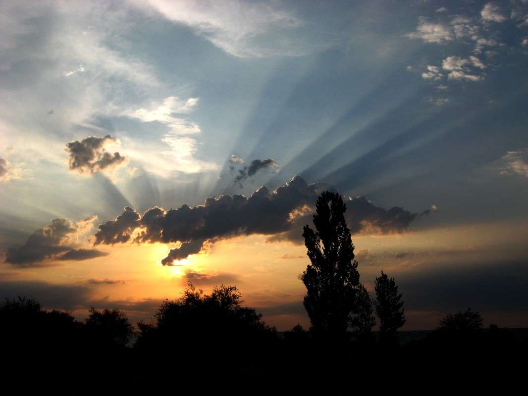 ������ ����� Natali  ��������� �� PhotoGeek.ru #������ ��� �������