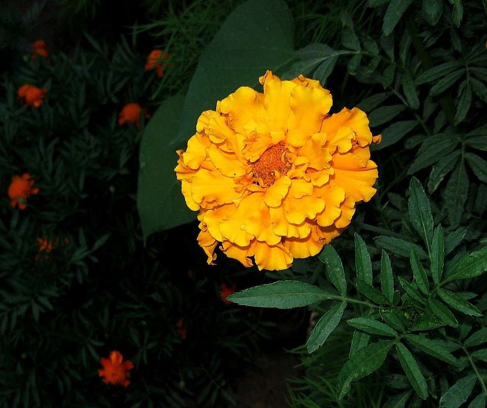 ����� � �������� 2 ����� Natali  ��������� �� PhotoGeek.ru #������ ��� ������� #����� ��������������