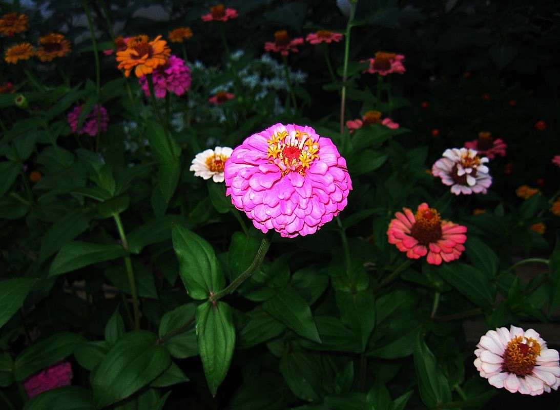 ����� � �������� ����� Natali  ��������� �� PhotoGeek.ru #������ ��� ������� #����� ��������������