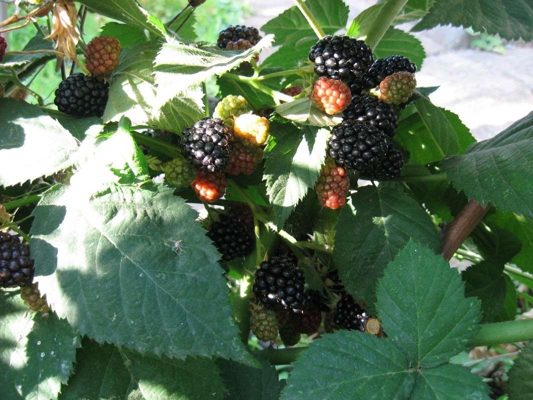 ������� ����� Natali  ��������� �� PhotoGeek.ru #������ ��� ������� #����� ��������������