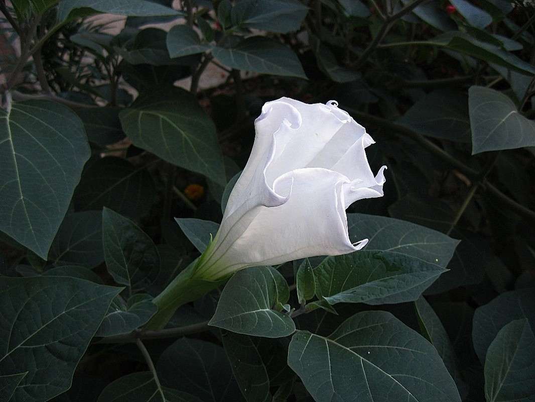 ... ����� Natali  ��������� �� PhotoGeek.ru #������ ��� ������� #����� ��������������