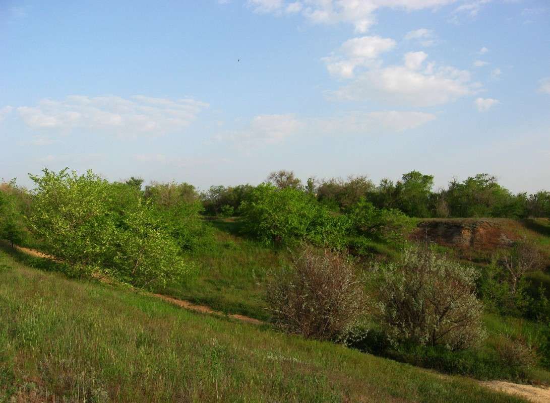 ������� � ����� ����� Natali  ��������� �� PhotoGeek.ru #������ ��� ������� #����� ��������������