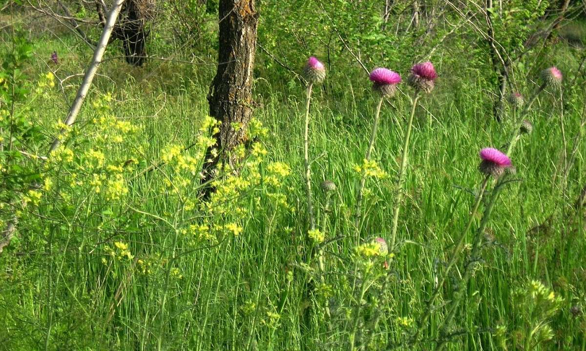 ... ����� Natali  ��������� �� PhotoGeek.ru #������ ��� ������� #����� ��������������