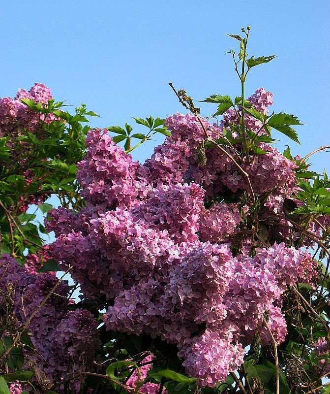 � �������� ����� ����� Natali  ��������� �� PhotoGeek.ru #������ ��� ������� #����� ��������������