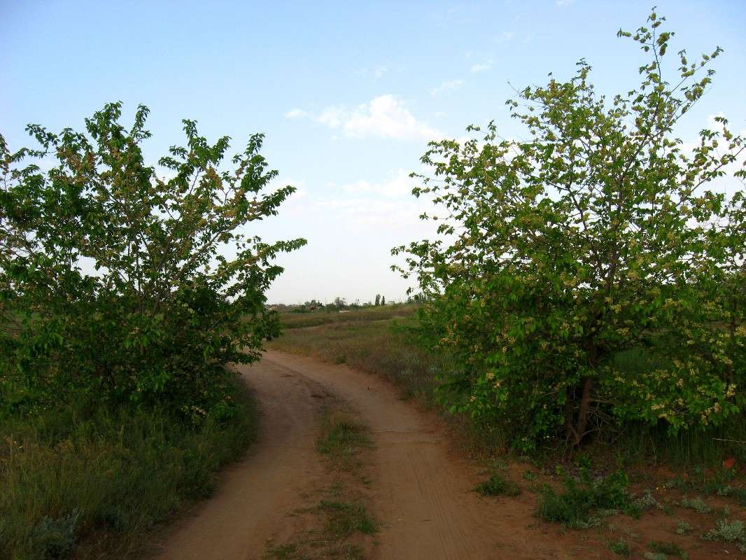 ���.   ���� � ������...) ����� Natali  ��������� �� PhotoGeek.ru #������ ��� �������