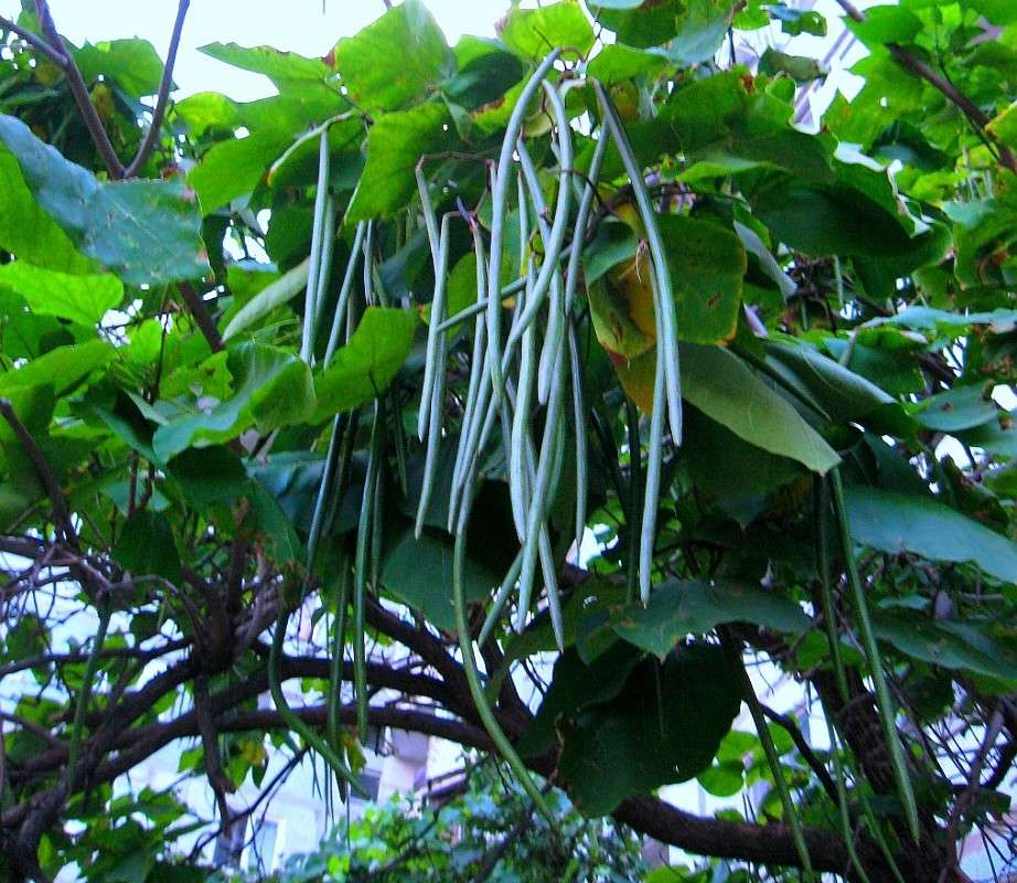 ... ����� Natali  ��������� �� PhotoGeek.ru #������ ��� ������� #����� ��������������