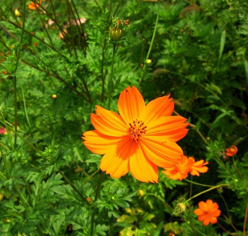 ����� ������ ����� Natali  ��������� �� PhotoGeek.ru #������ ��� ������� #����� ��������������