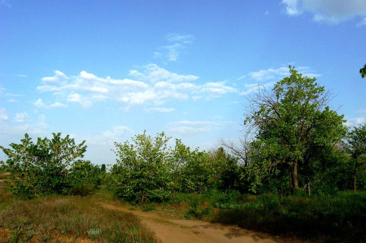 ... ����� Natali  ��������� �� PhotoGeek.ru #������ ��� �������