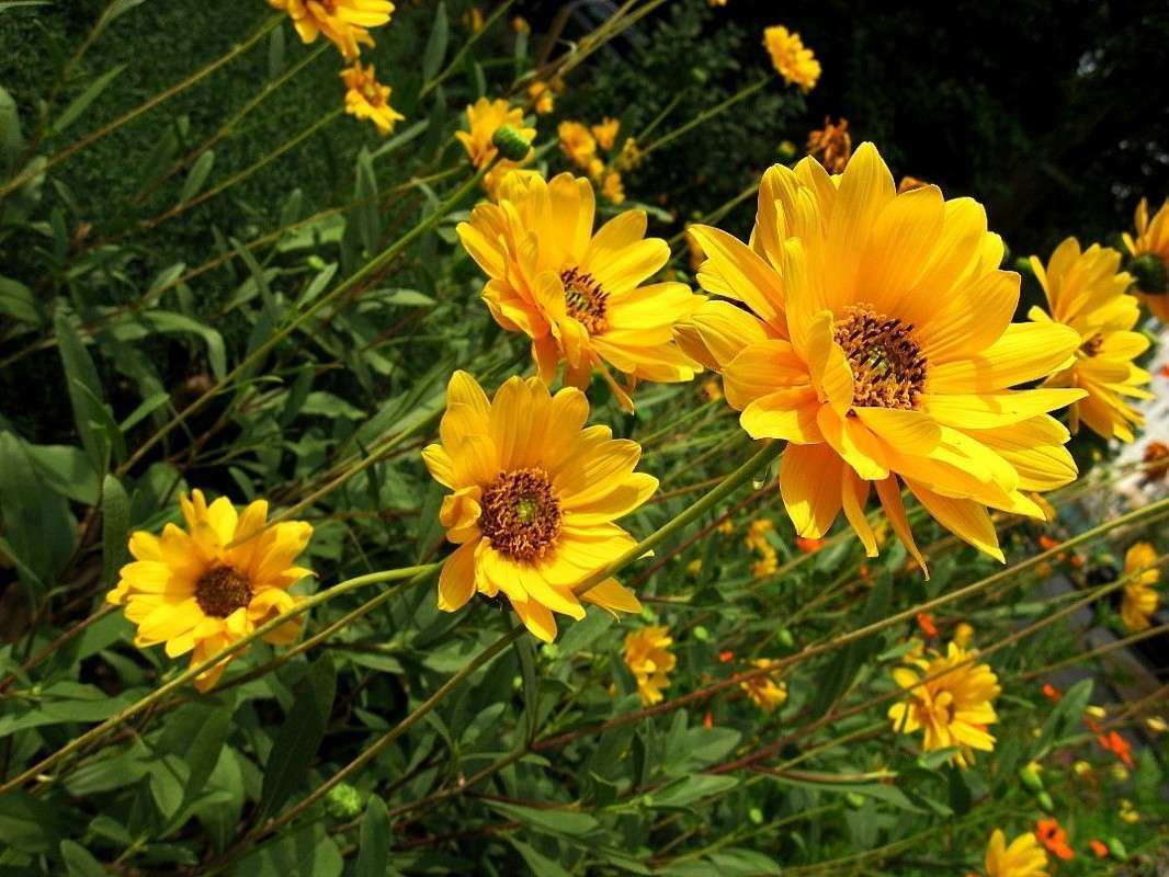 ... ����� Natali  ��������� �� PhotoGeek.ru #������ ��� ������� #����� ��������������