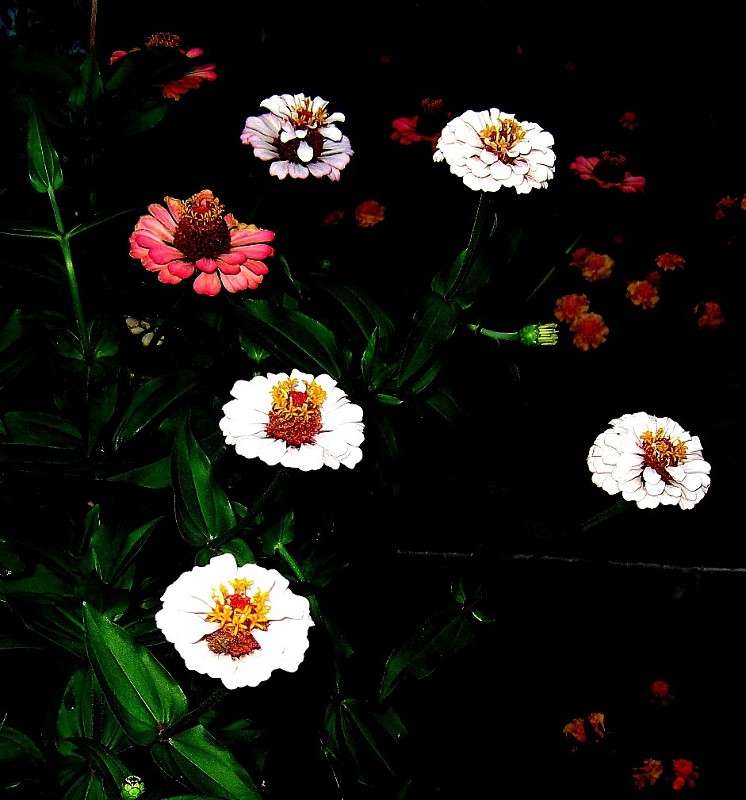 ... ����� Natali  ��������� �� PhotoGeek.ru #������ ��� ������� #����� ��������������