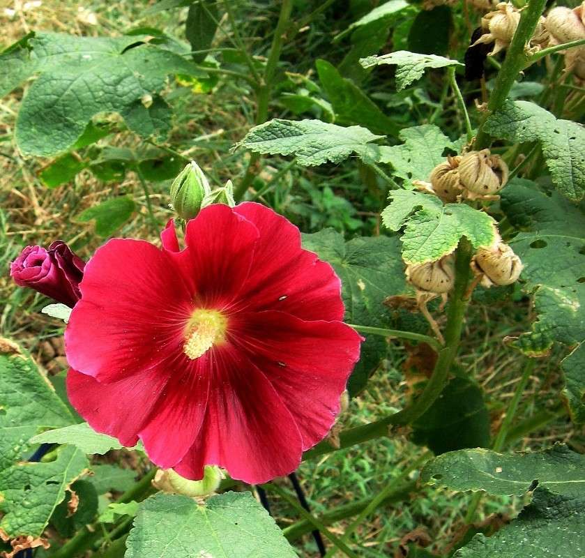 ������ ����� Natali  ��������� �� PhotoGeek.ru #������ ��� ������� #����� ��������������