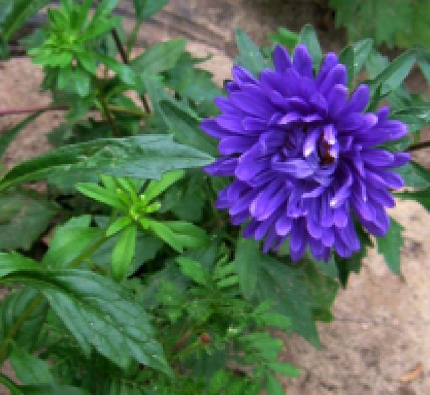 ����������� ����� Natali  ��������� �� PhotoGeek.ru