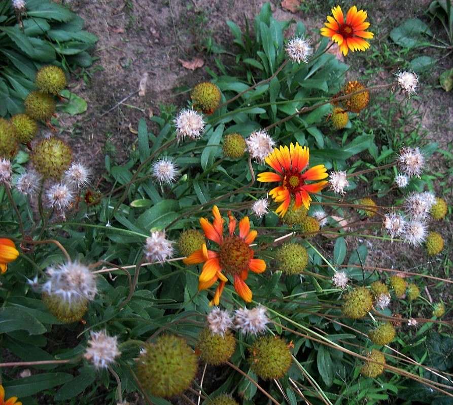 ������ ����� Natali  ��������� �� PhotoGeek.ru #������ ��� ������� #����� ��������������