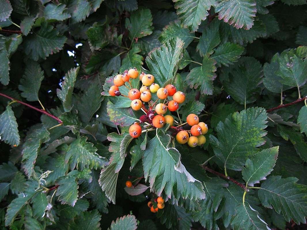 ������ ����� Natali  ��������� �� PhotoGeek.ru #������ ��� ������� #����� ��������������