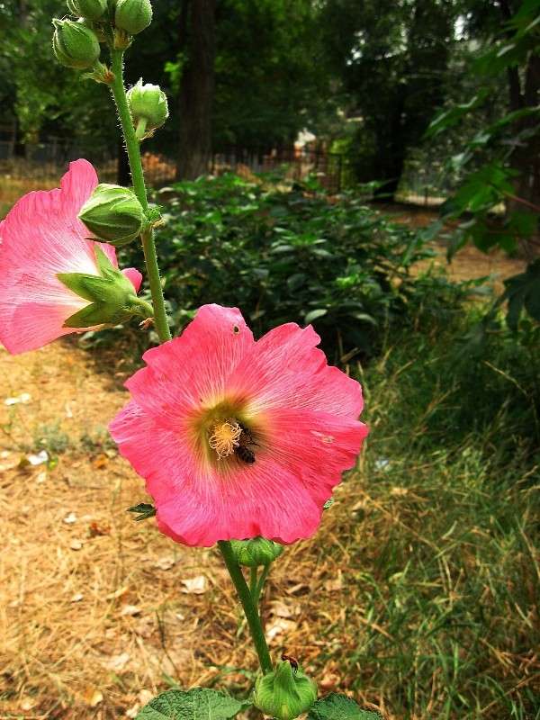 ... ����� Natali  ��������� �� PhotoGeek.ru #������ ��� ������� #����� ��������������