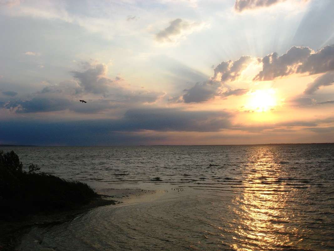 ... ����� Natali  ��������� �� PhotoGeek.ru #������ ��� �������