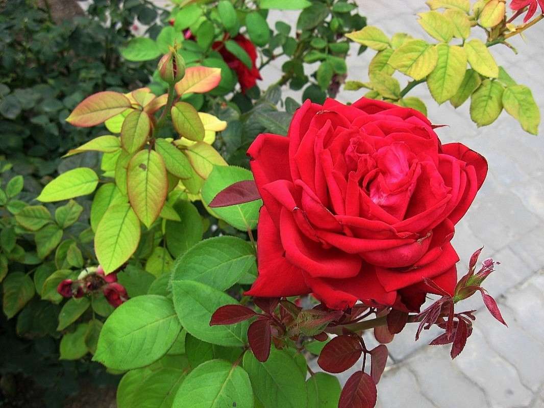 ... ����� Natali  ��������� �� PhotoGeek.ru #������ ��� ������� #����� ��������������