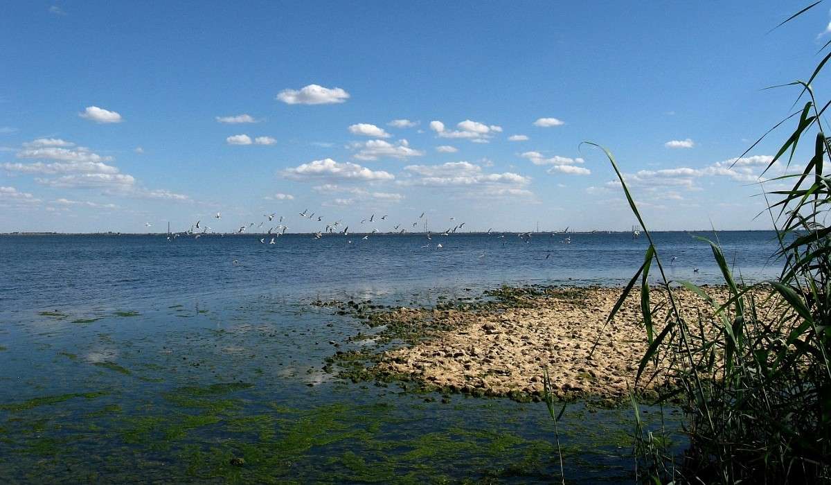 � ��������� ������ ����...) ����� Natali  ��������� �� PhotoGeek.ru #�������� ��� #������ ��� �������