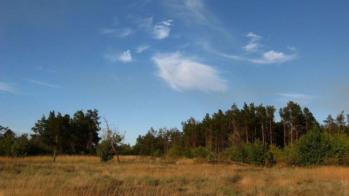 ����� ���� ����� Natali  ��������� �� PhotoGeek.ru #������ ��� ������� #����� ��������������