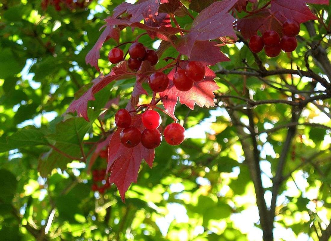 ������ ����� Natali  ��������� �� PhotoGeek.ru #������ ��� ������� #����� ��������������