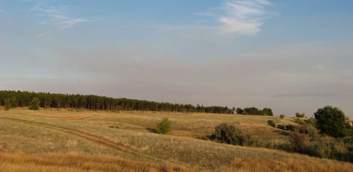 ��������� ������ �������� 3 ����� Natali  ��������� �� PhotoGeek.ru #������ ��� ������� #����� ��������������