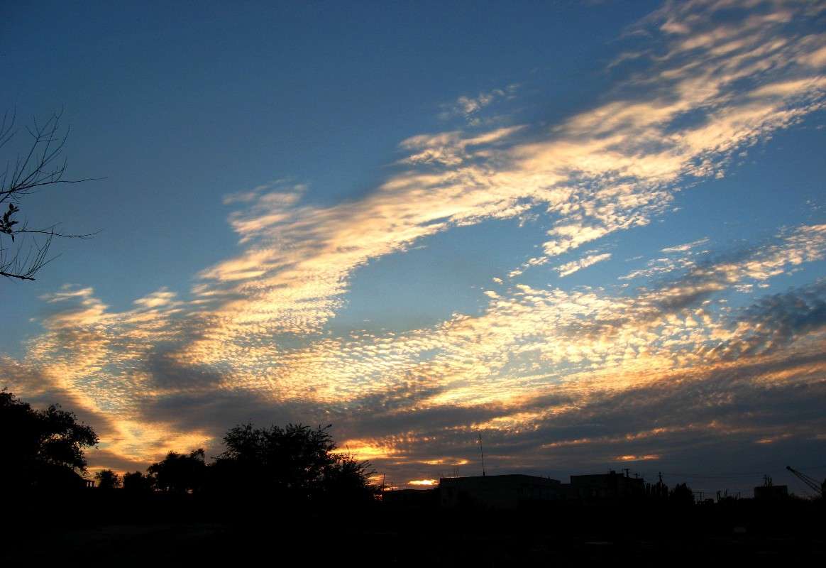 �����. ����� Natali  ��������� �� PhotoGeek.ru #������ ��� �������