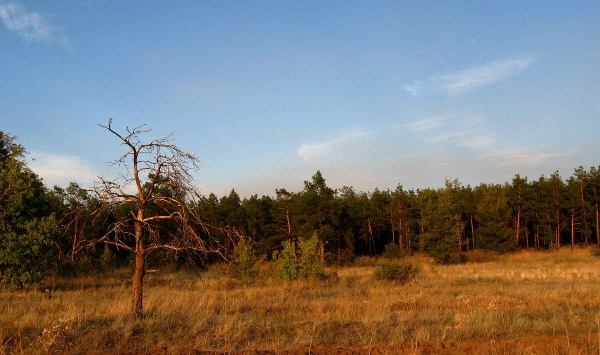 ��������� ������ �������� 4 ����� Natali  ��������� �� PhotoGeek.ru #������ ��� ������� #����� ��������������