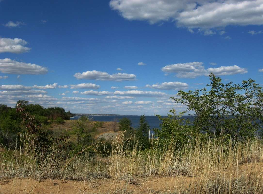 ��������� ������ �������� 5 ����� Natali  ��������� �� PhotoGeek.ru #������ ��� ������� #����� ��������������