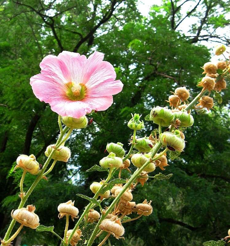 ... ����� Natali  ��������� �� PhotoGeek.ru #������ ��� ������� #����� ��������������