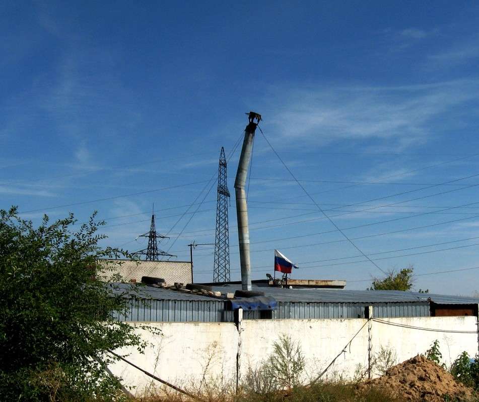 ����� �� ������� �����...� ����, � ����... !!! ����� Natali  ��������� �� PhotoGeek.ru #����� #�������� ���������� #��������������� #����� ��������