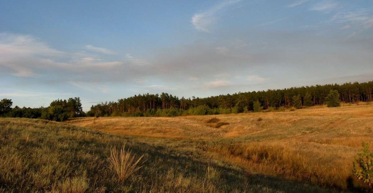 �������� ������ ����� Natali  ��������� �� PhotoGeek.ru #������ ��� ������� #����� ��������������