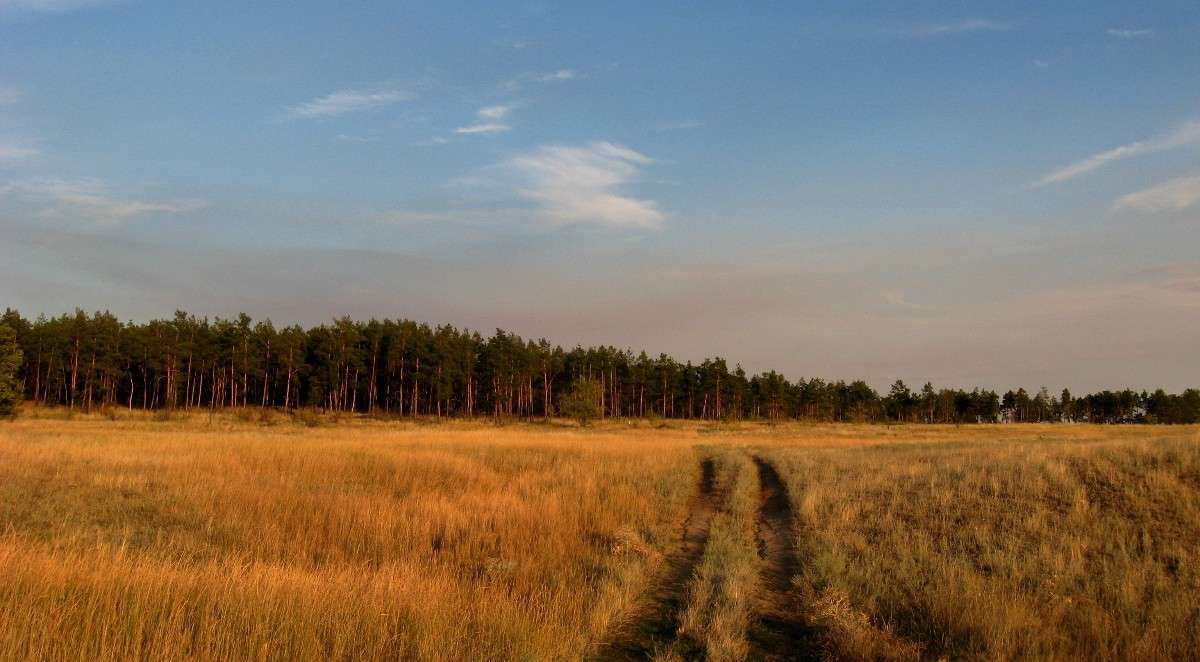 �����. �����. ����� Natali  ��������� �� PhotoGeek.ru #������ ��� ������� #����� ��������������