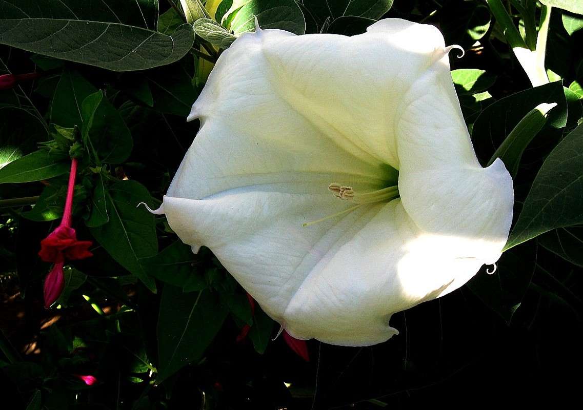 ... ����� Natali  ��������� �� PhotoGeek.ru #������ ��� ������� #����� ��������������