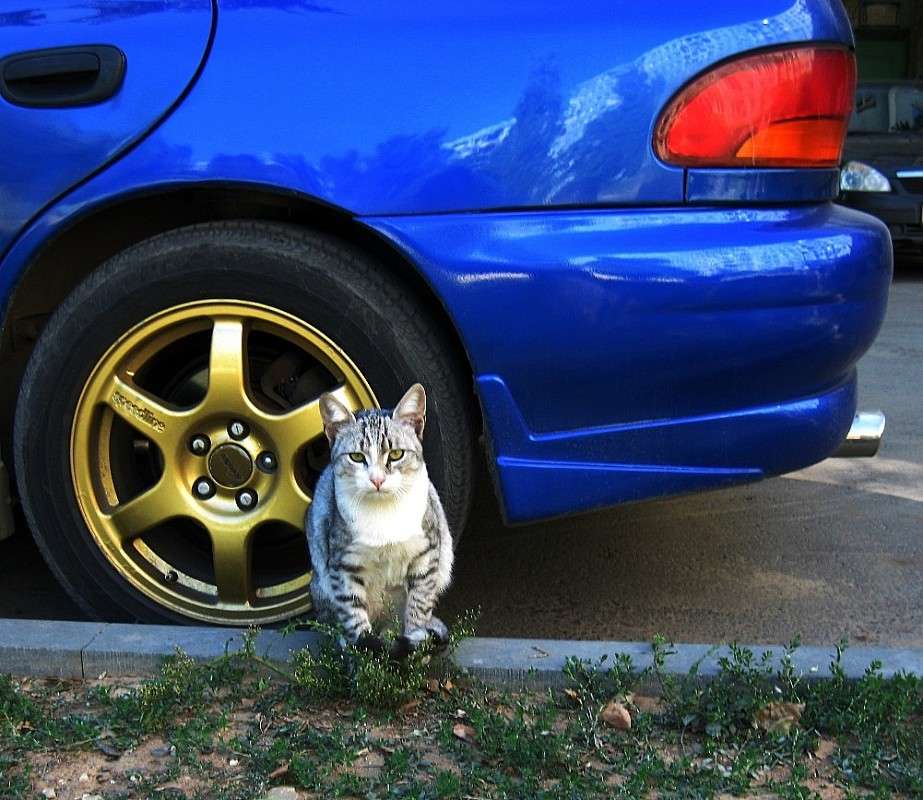 ����� ����, ������� �����... ����� Natali  ��������� �� PhotoGeek.ru #�������� ��� #�������� ���������� #���������������