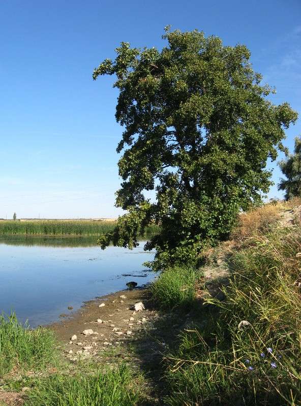 ... ����� Natali  ��������� �� PhotoGeek.ru #������ ��� �������