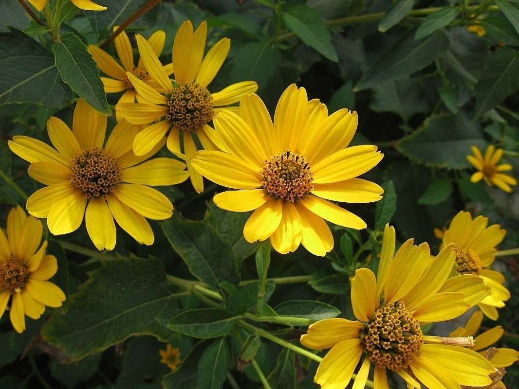 �������... ����� Natali  ��������� �� PhotoGeek.ru #������ ��� ������� #����� ��������������