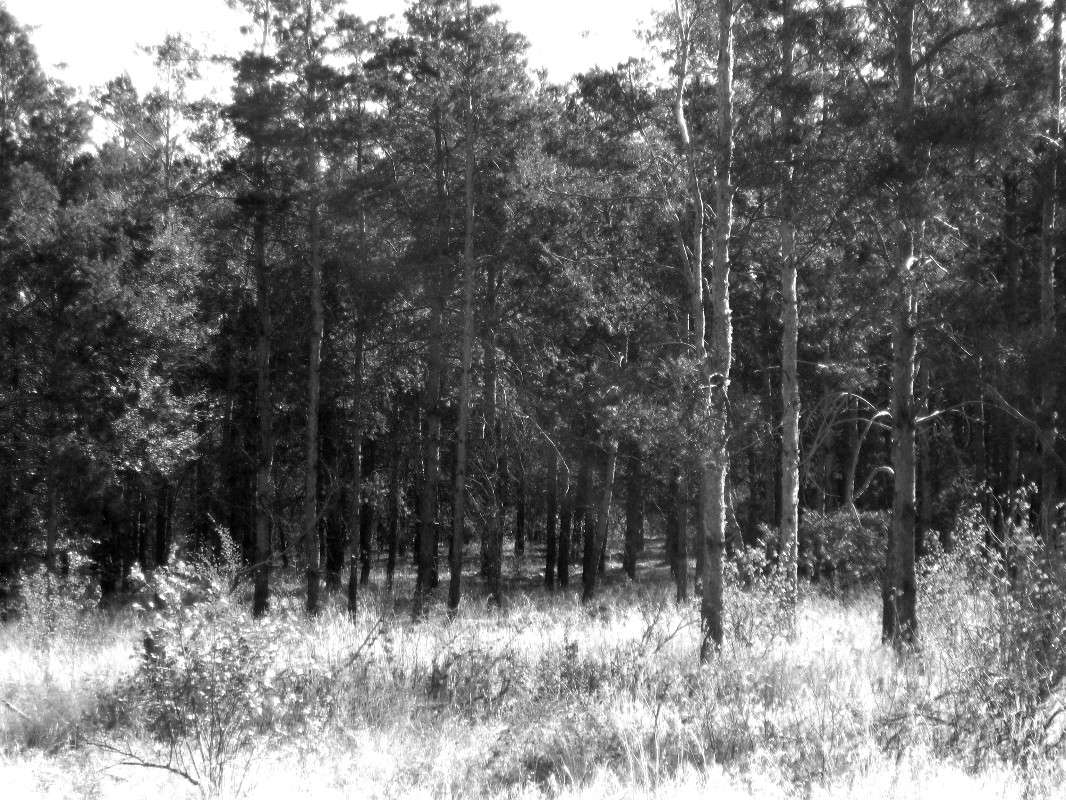 �� ������ ����� Natali  ��������� �� PhotoGeek.ru #������ ��� ������� #����� ��������������